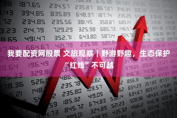 我要配资网股票 文旅观察｜野游野趣，生态保护“红线”不可越