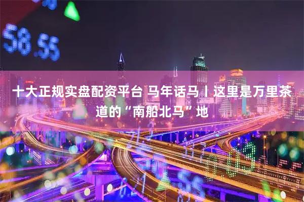 十大正规实盘配资平台 马年话马丨这里是万里茶道的“南船北马”地